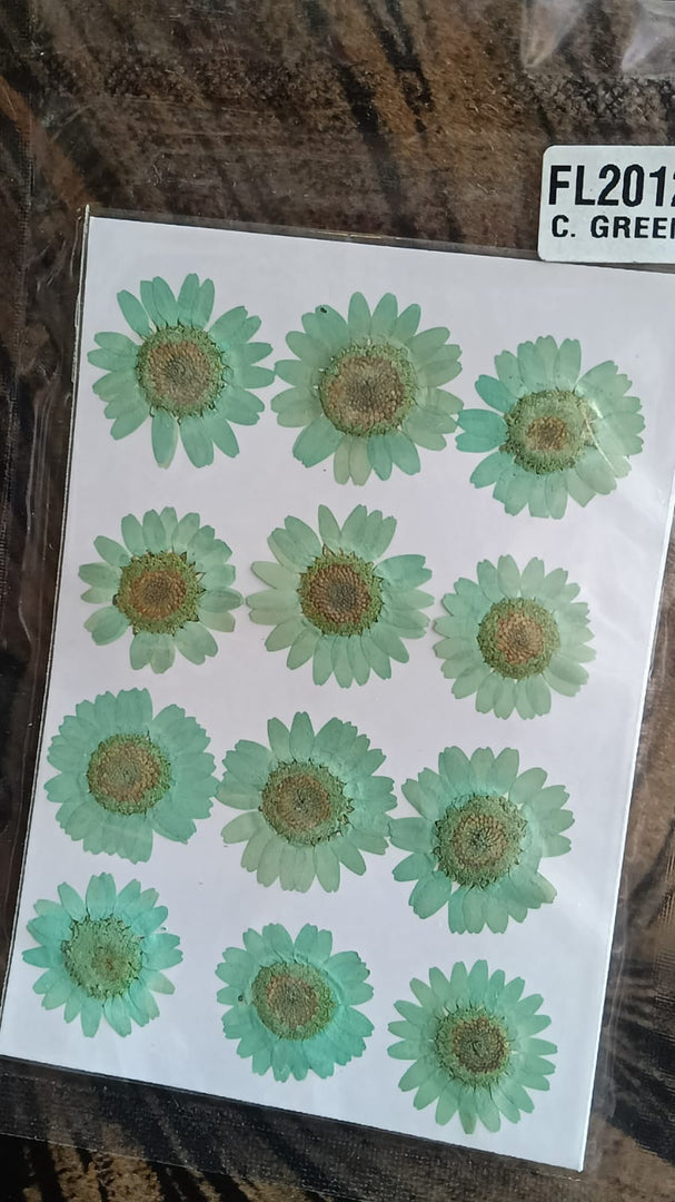 Pressed Flowers (FL2012)